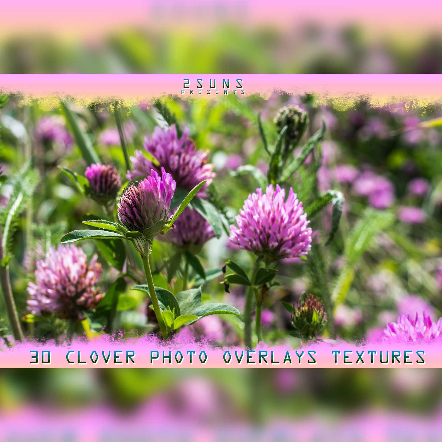 Digital Flower Backdrop Photoshop Overlay Flower Photo Example.