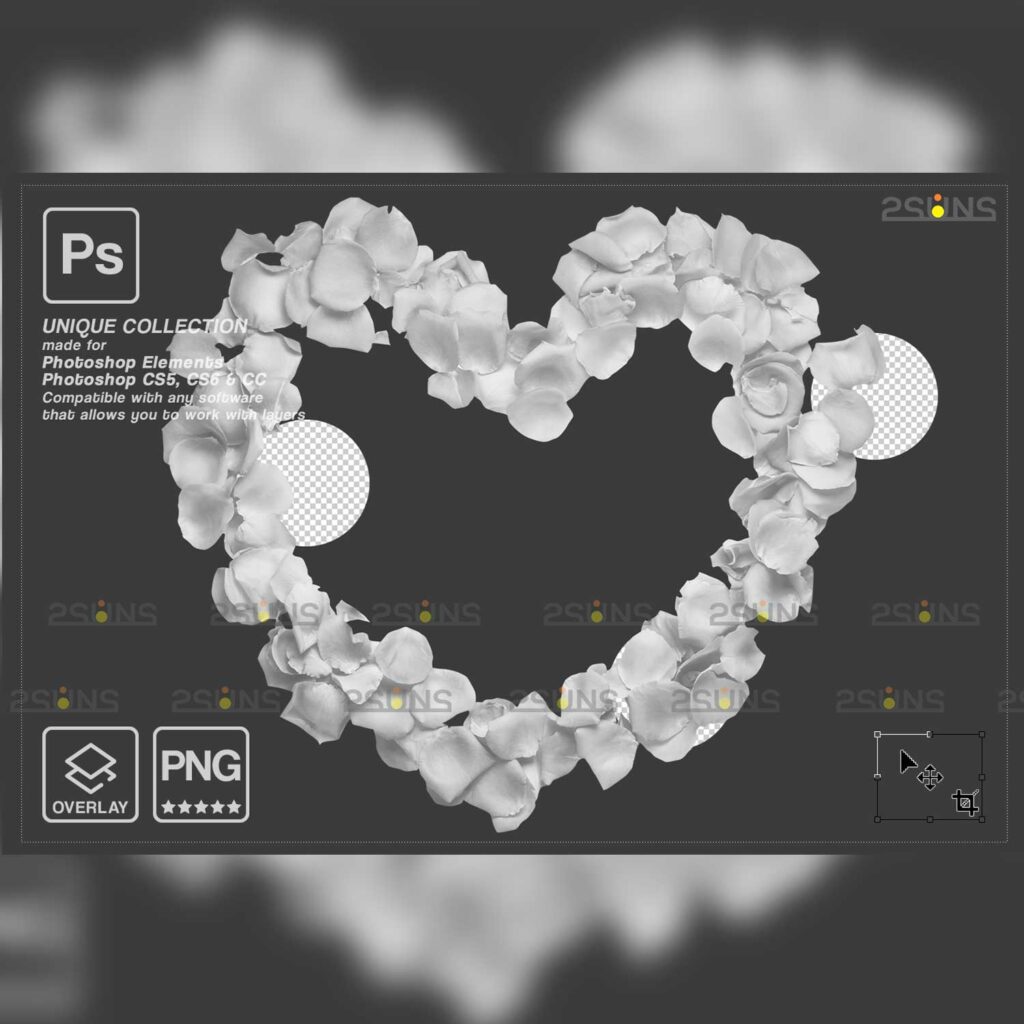White Roses Overlay Falling Rose Petals Photo Overlays , White petals png - MasterBundles