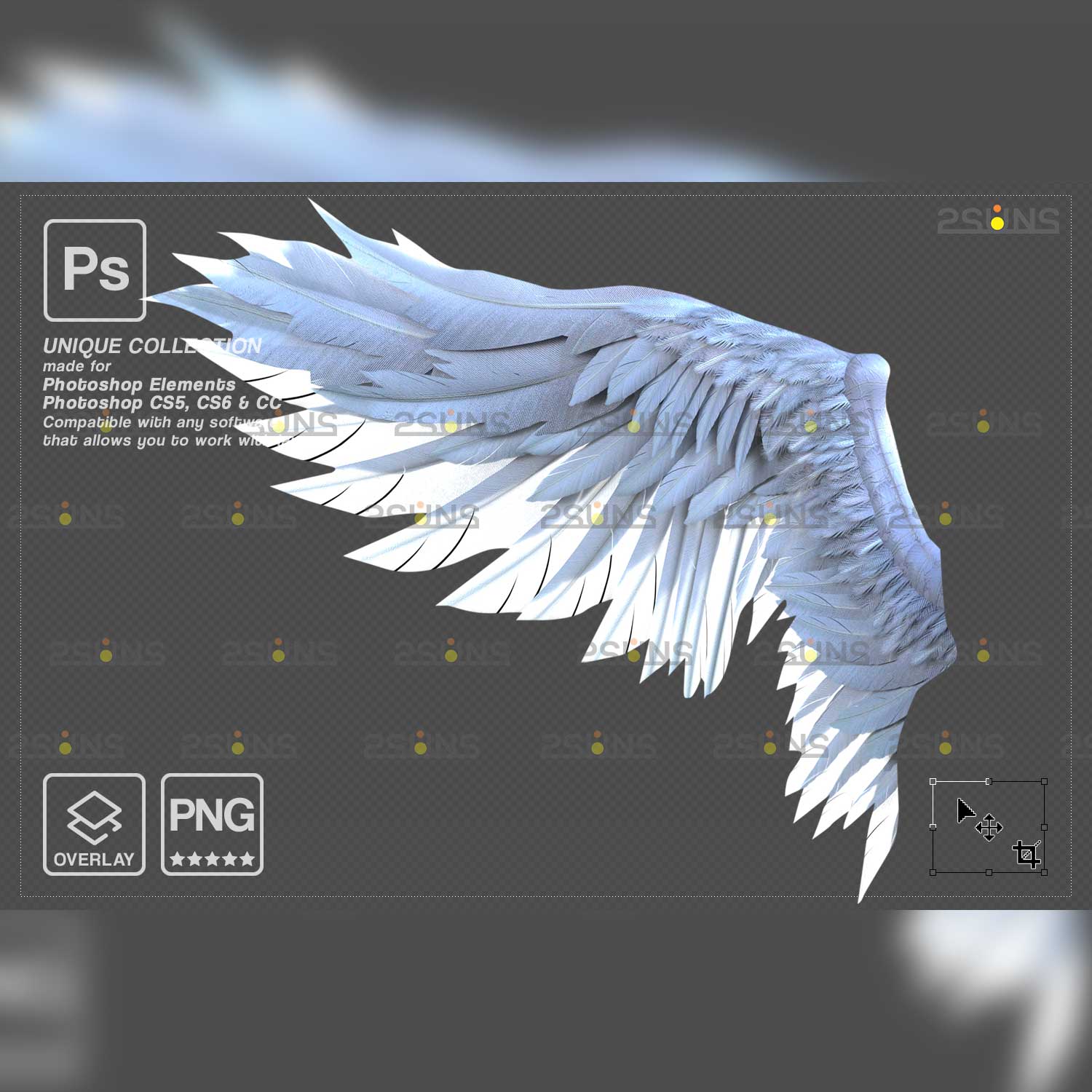Realistic White Black Gold Angel Wings Photoshop Overlays White Angel wing.