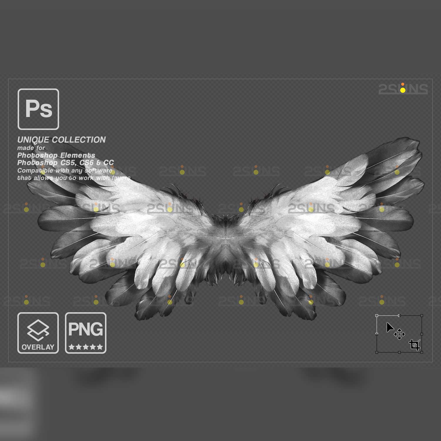 Realistic Black White Gold Angel Wings Photoshop Overlays Gray wings.