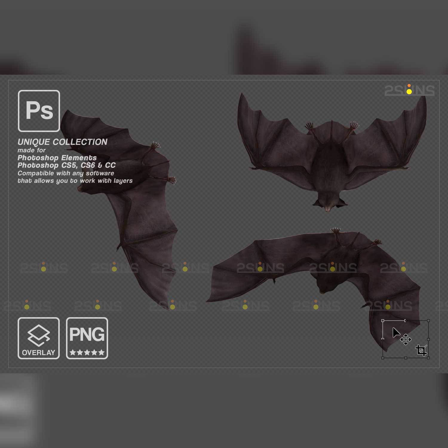 Scary Halloween Bat Overlay cover image.
