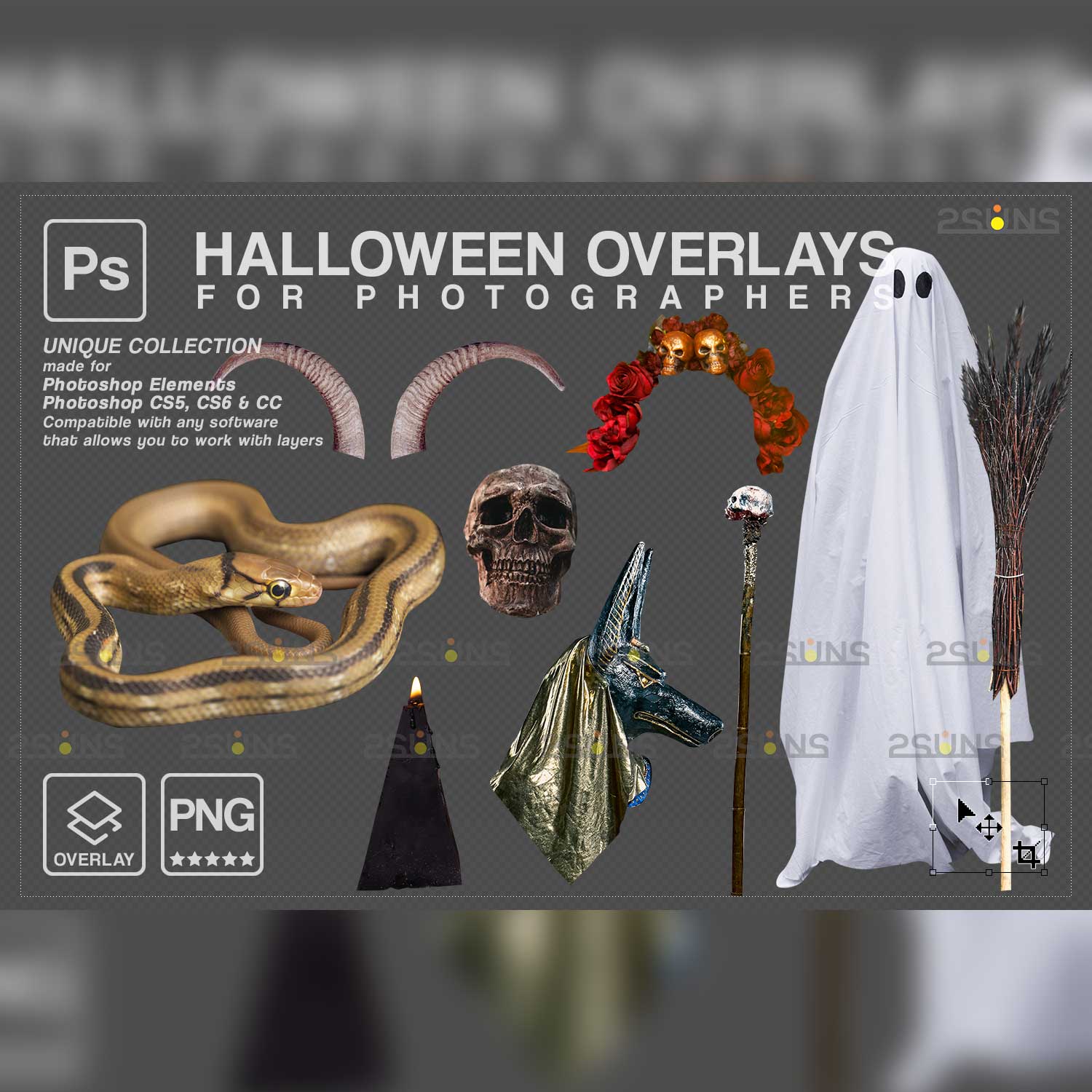 Halloween Digital Backdrop Overlays previews.