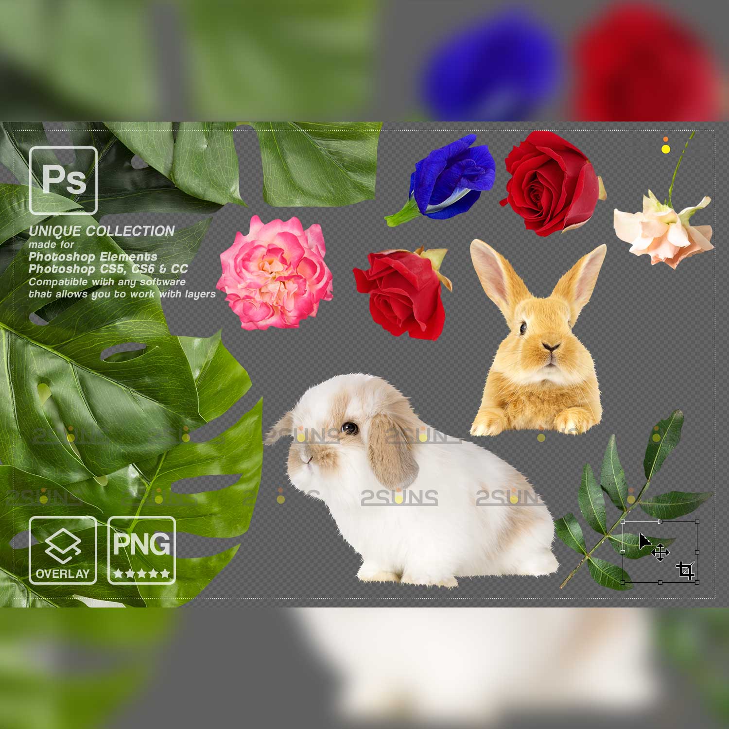 Easter Bunny Modern Photoshop Overlay Bunnies.
