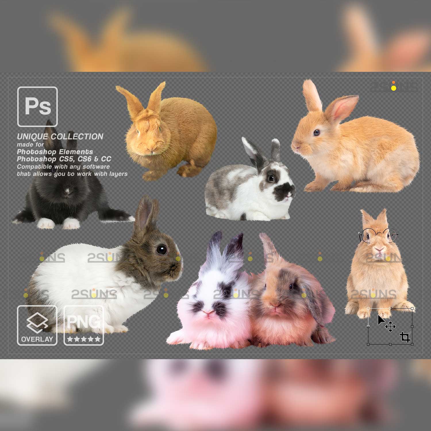 Easter Bunny Photoshop Overlay Rebbits.