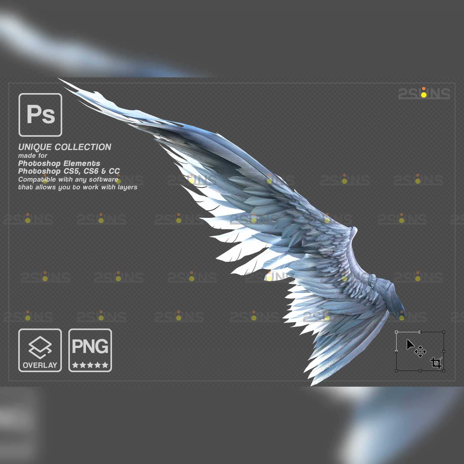 Realistic White Black Gold Angel Wings Photoshop Overlays Slim wing.