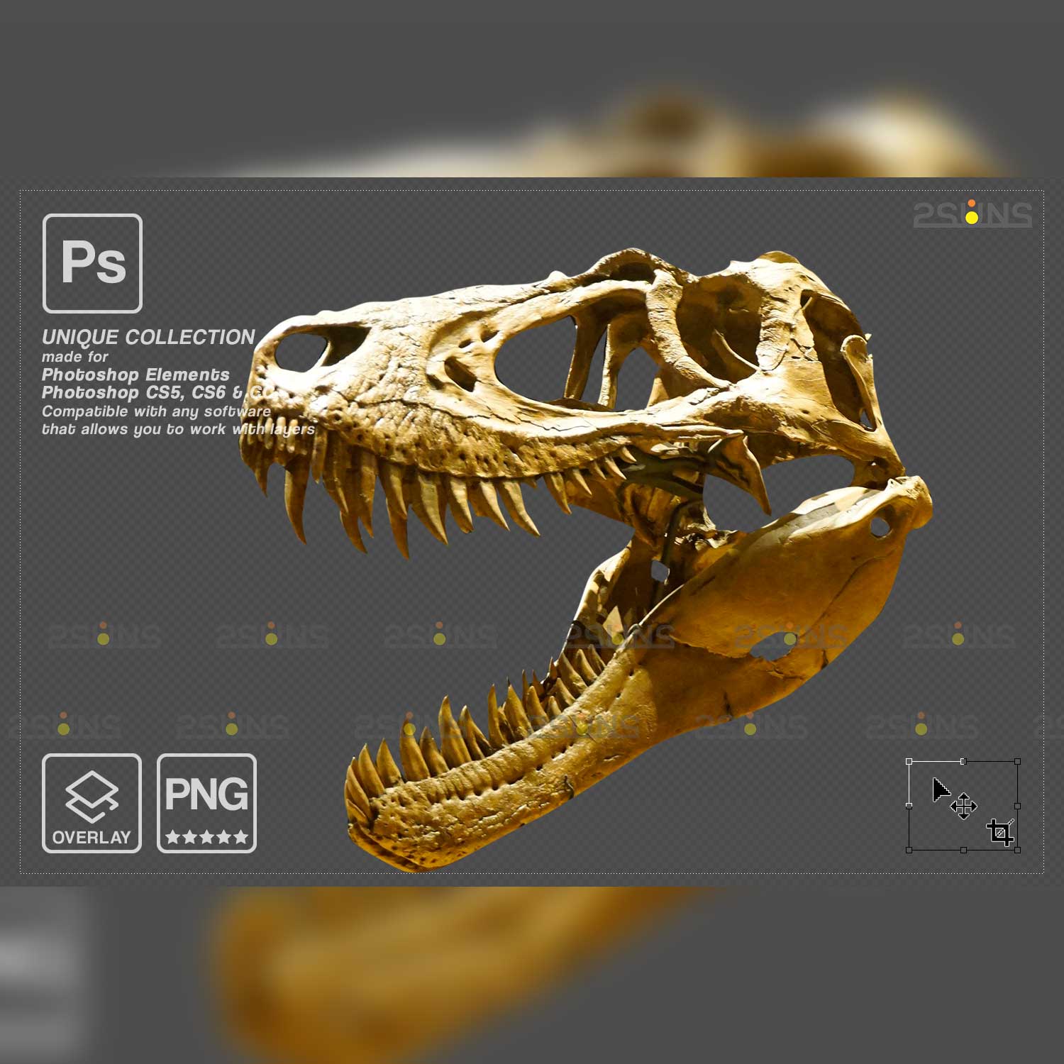 Tyrannosaurus Rex Skull Png Jurassic World Overlays.