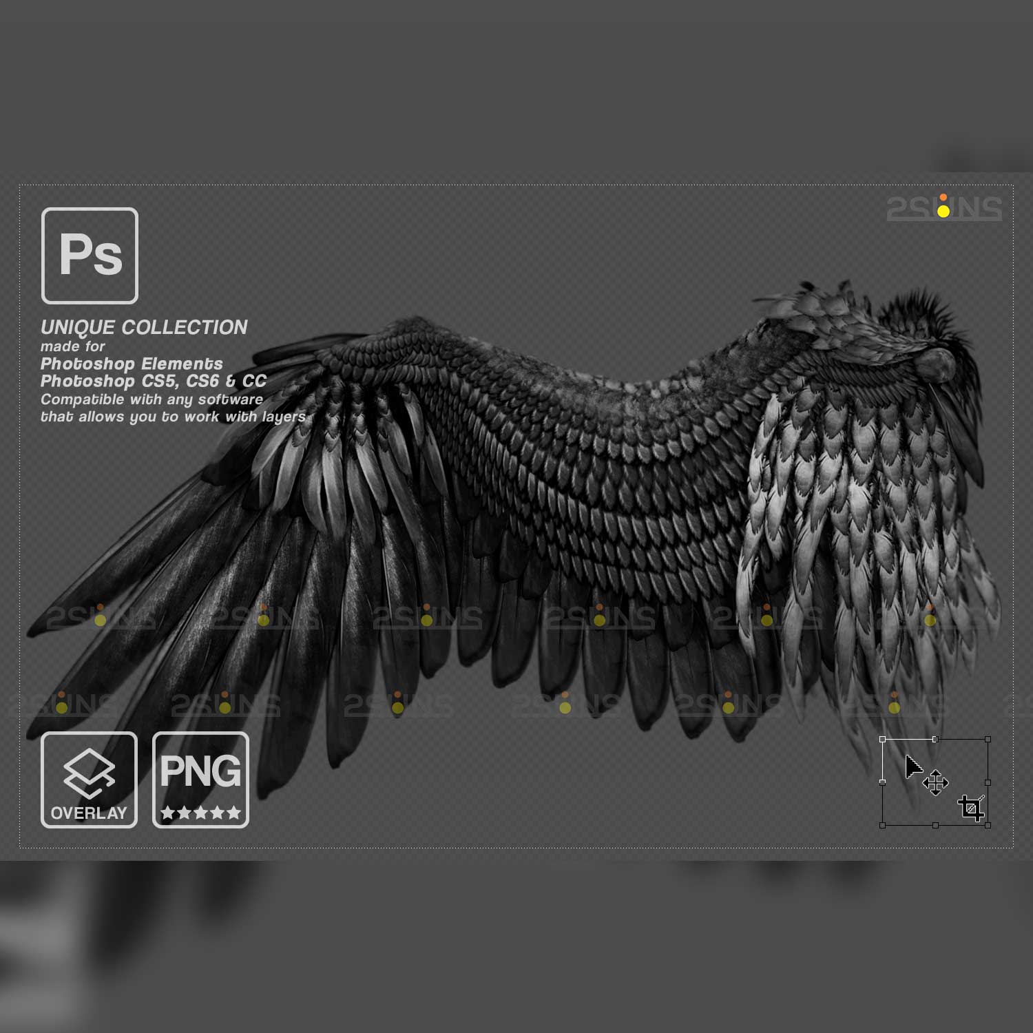 Realistic Black Angel Wings Photoshop Overlays Eagle Wing.