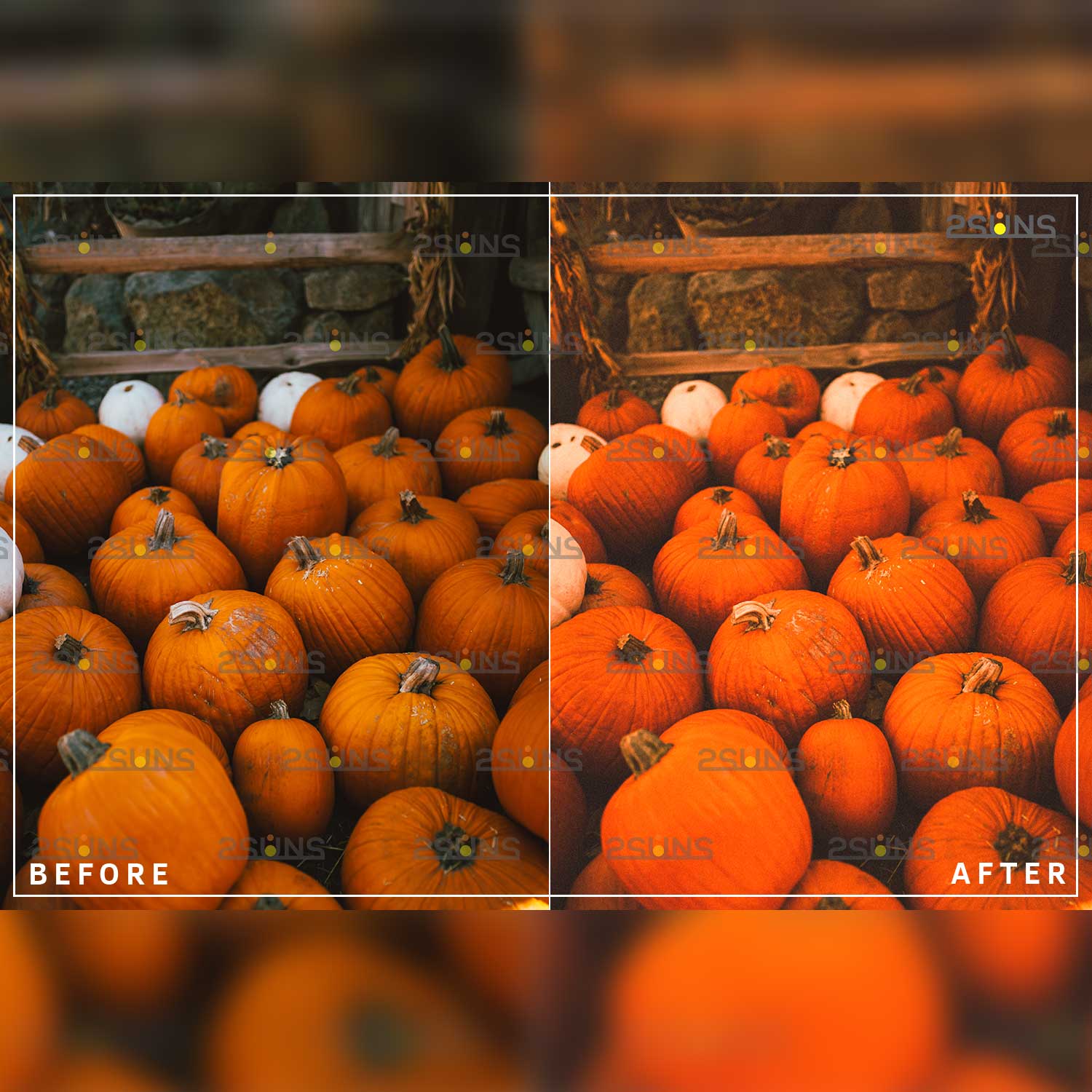 Grainy Halloween Dark Moody Film Lightroom Preset Pumpkins Photo Example.