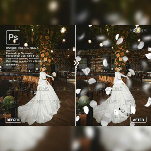 Falling White Rose Petals Photo Overlays Before And After.