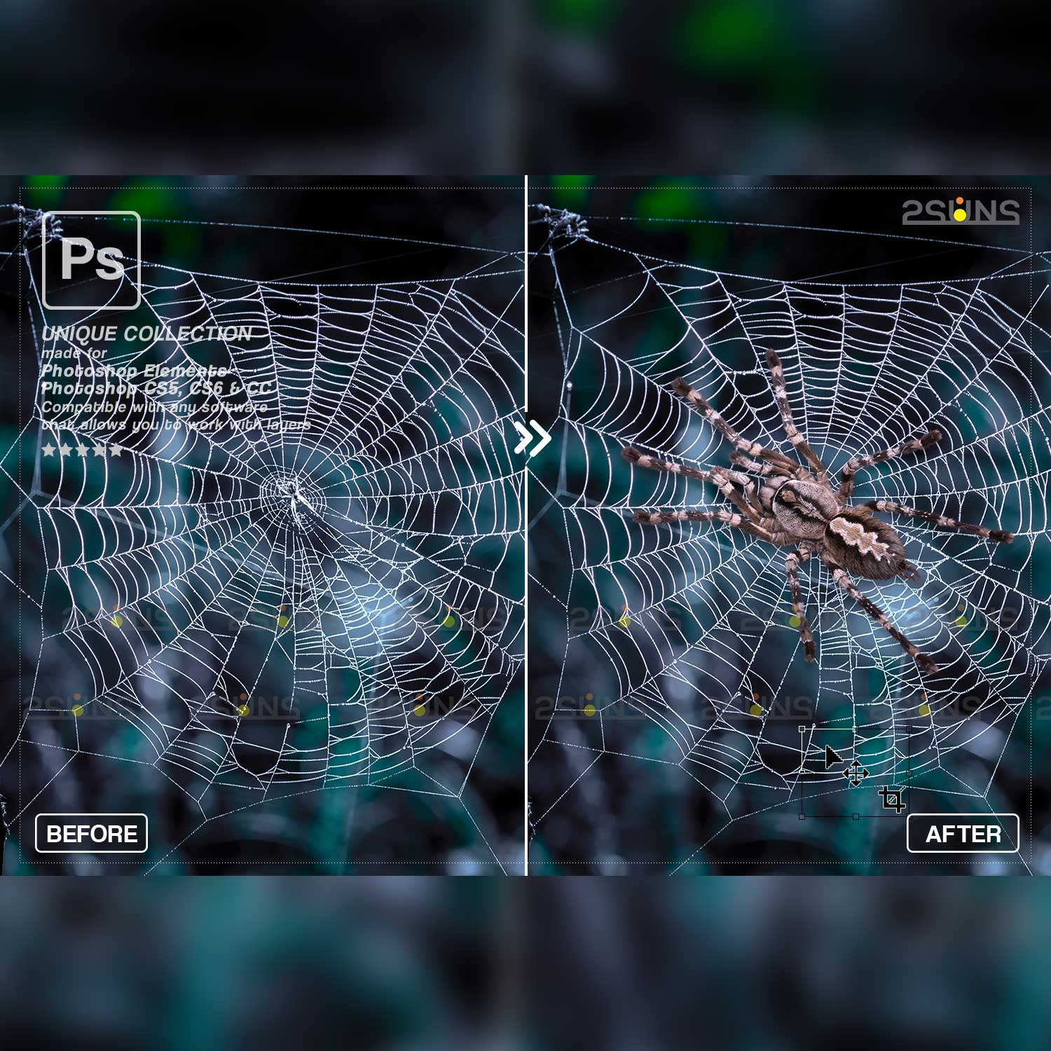 Spider Photoshop Overlays cover image.