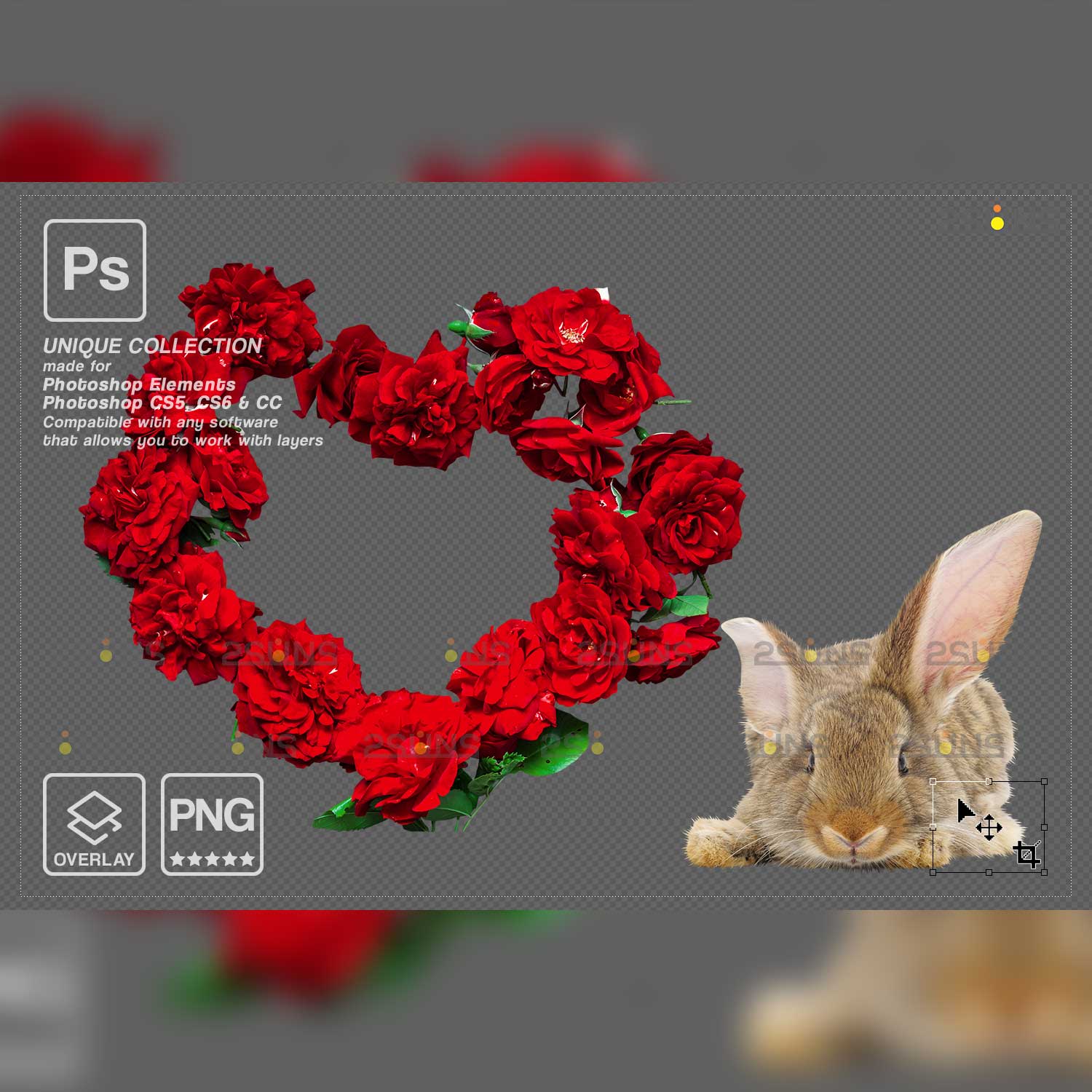 Easter Bunny Modern Photoshop Overlay Heart of Roses.