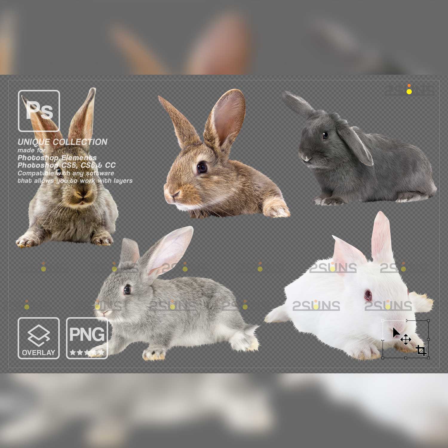 Easter Bunny Photoshop Overlay Bunnies.