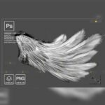 Realistic White Black Gold Angel Wings, Photoshop Overlays - MasterBundles