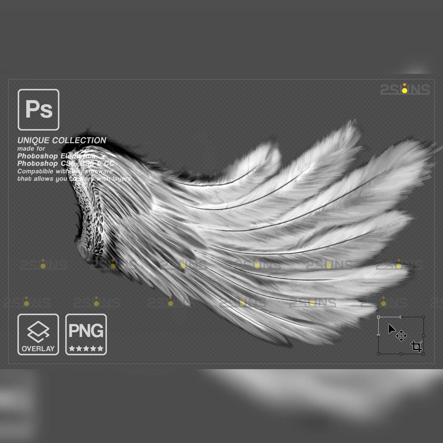 Realistic White Angel Wings Photoshop Overlays Raven Wing.