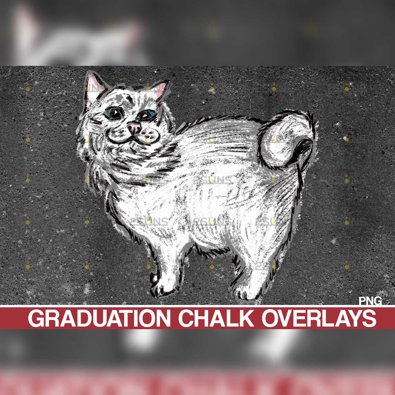 Graduation Sidewalk Chalk Art Overlays Cat.