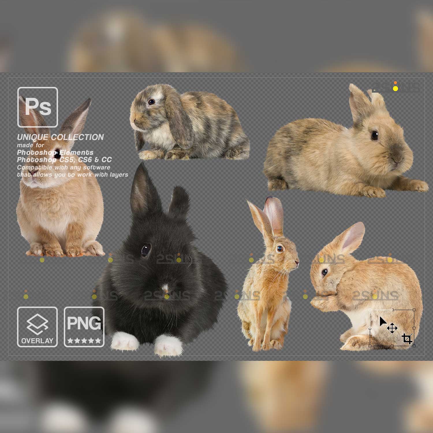 Easter Bunny Photoshop Overlay Animals.