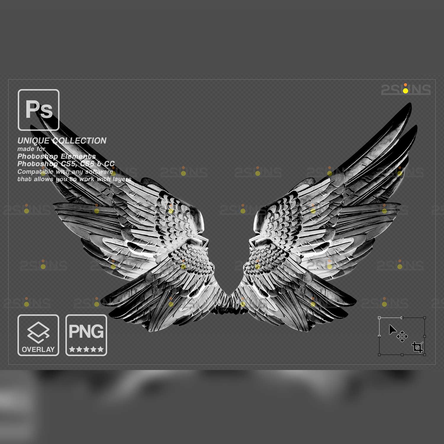 Realistic White Black Gold Angel Wings Photoshop Overlays two black angel wings.