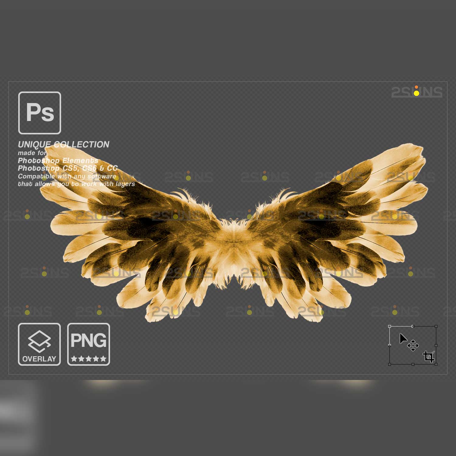 Realistic Black White Gold Angel Wings Photoshop Overlays two golden wings.