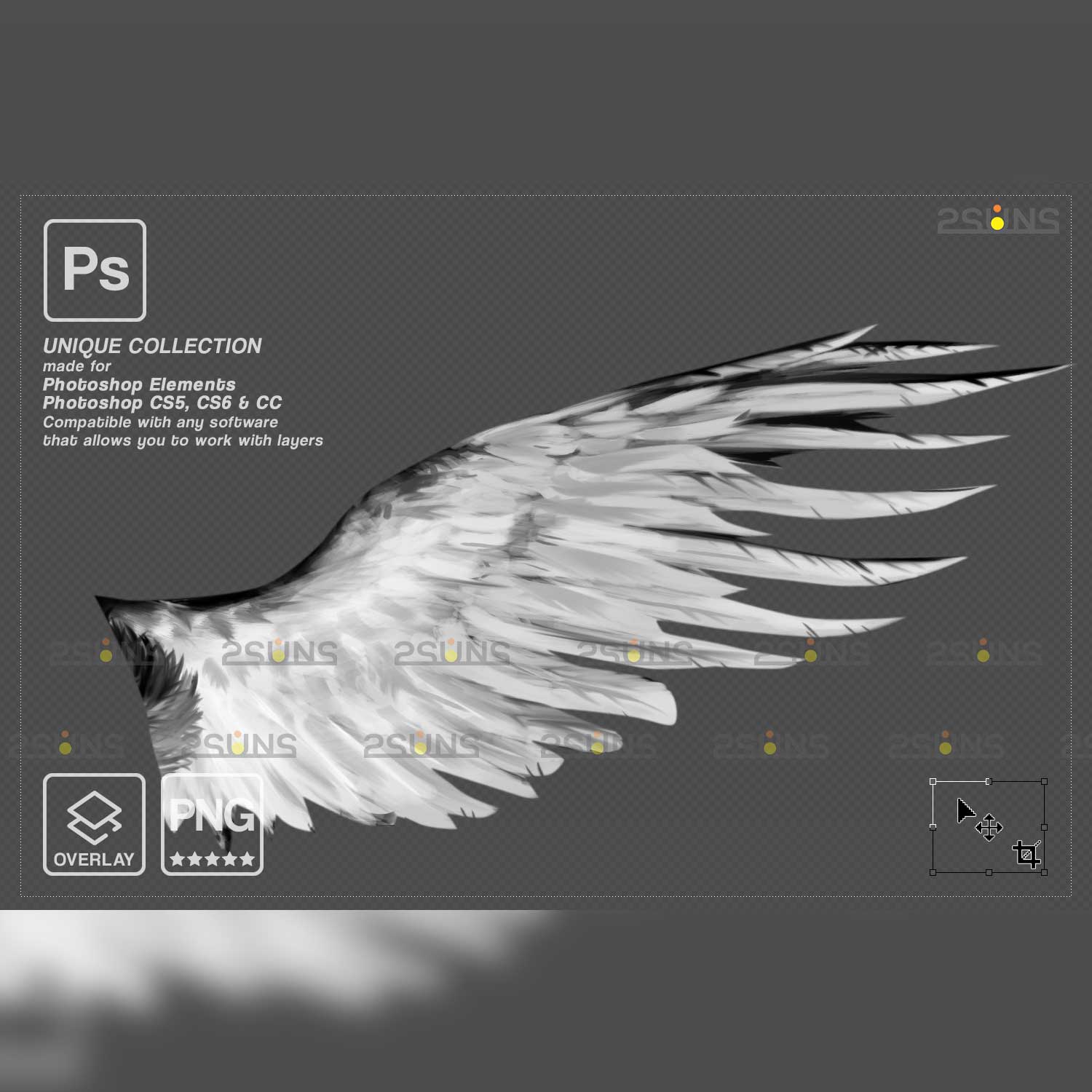 Realistic White Angel Wings Photoshop Overlays Eagle Wing.