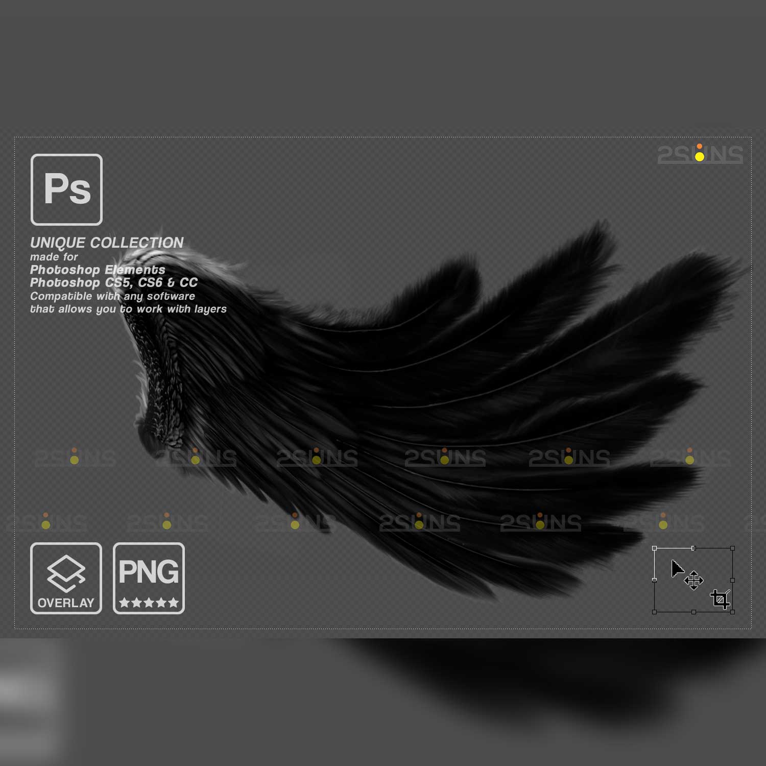 Realistic Black Angel Wings Photoshop Overlays Raven Wing.