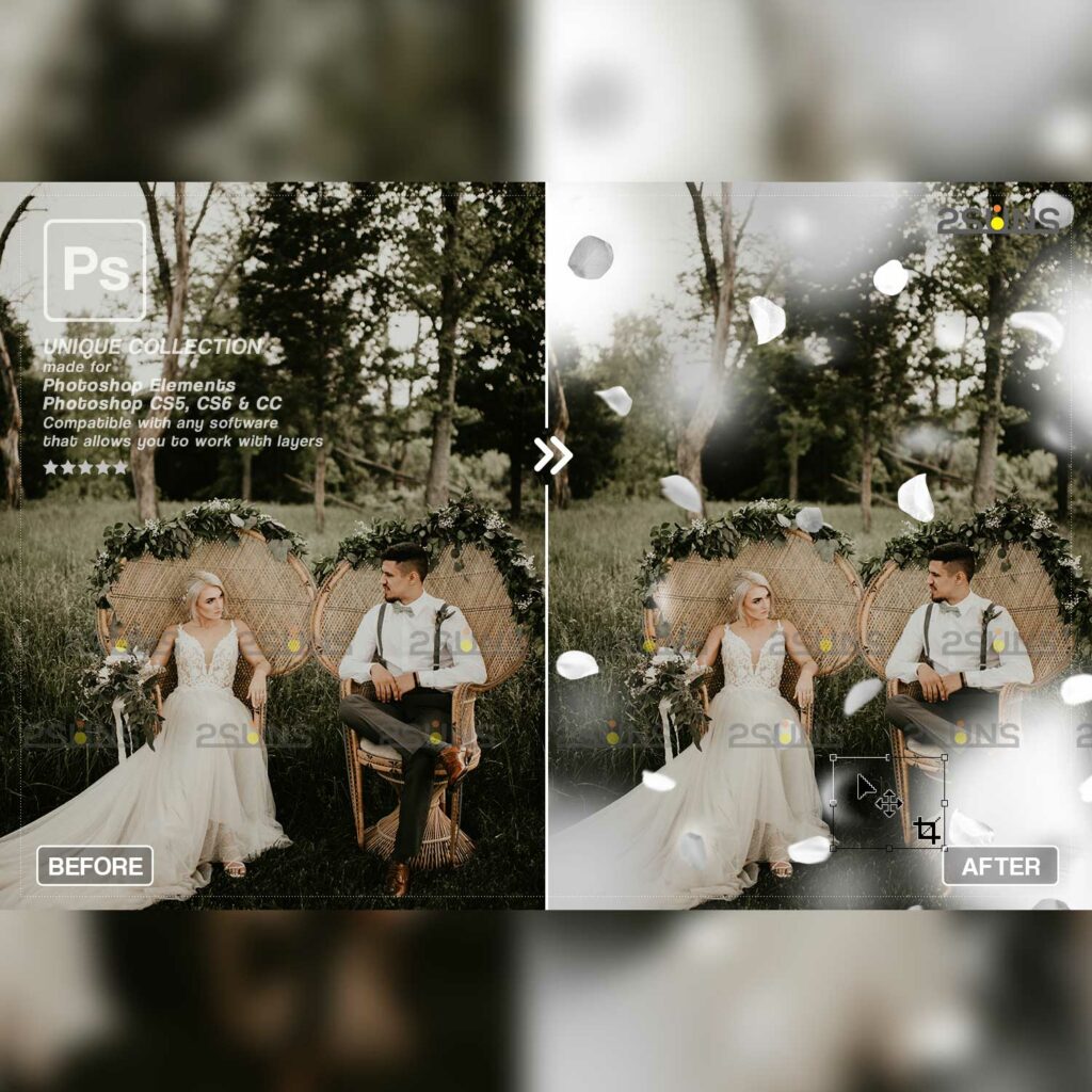 White Roses Overlay Falling Rose Petals Photo Overlays , White petals png - MasterBundles