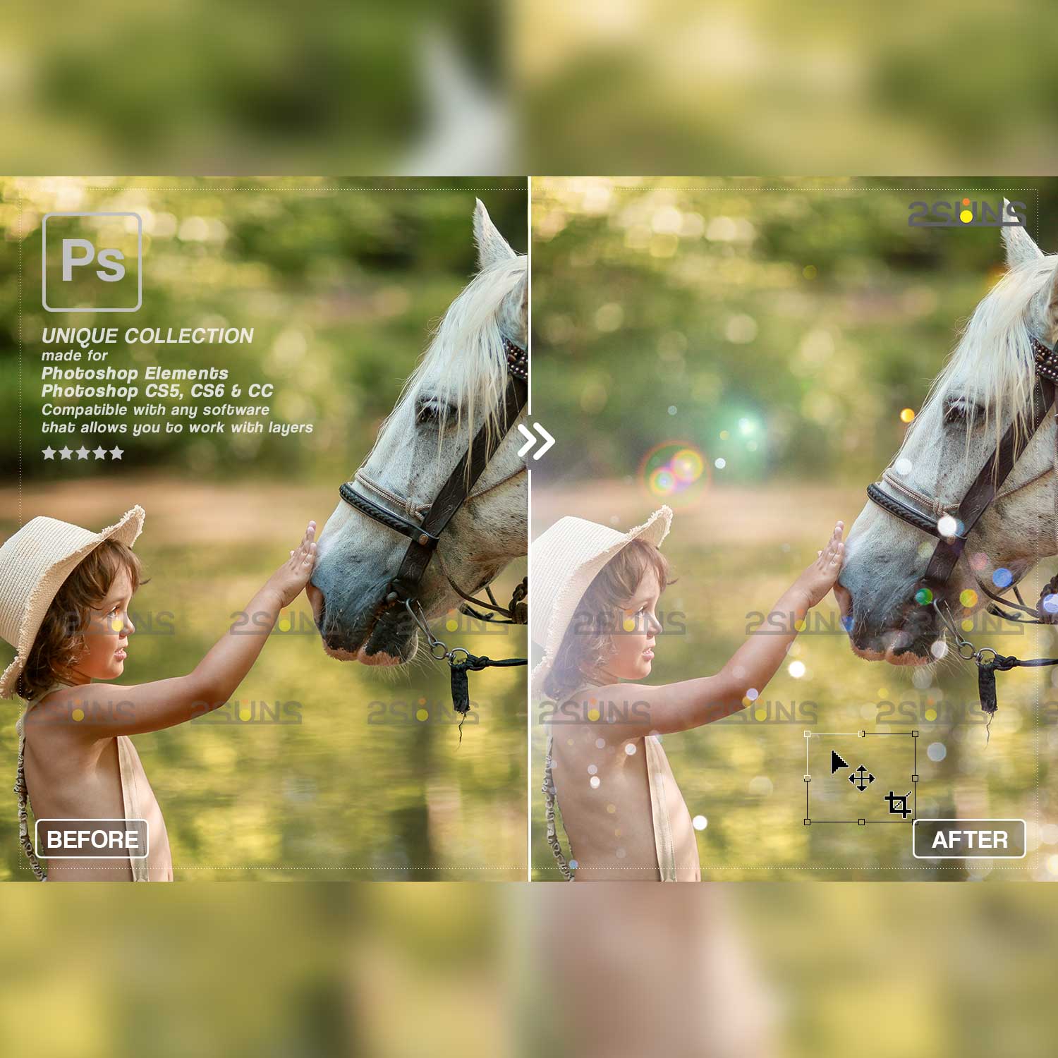 Sun Flares And Sunlight Photoshop Overlays Horse Before After Example.