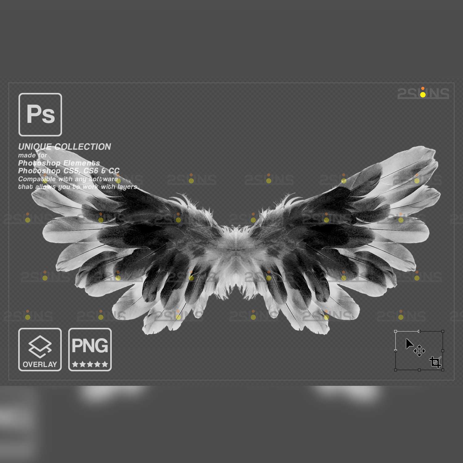 Realistic Black White Gold Angel Wings Photoshop Overlays.