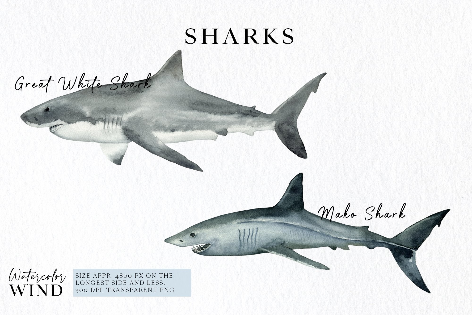 Two realistic sharks.
