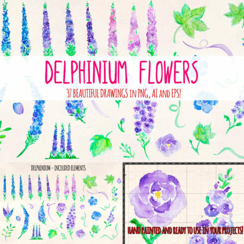 37 Delphinium Flower Graphics.
