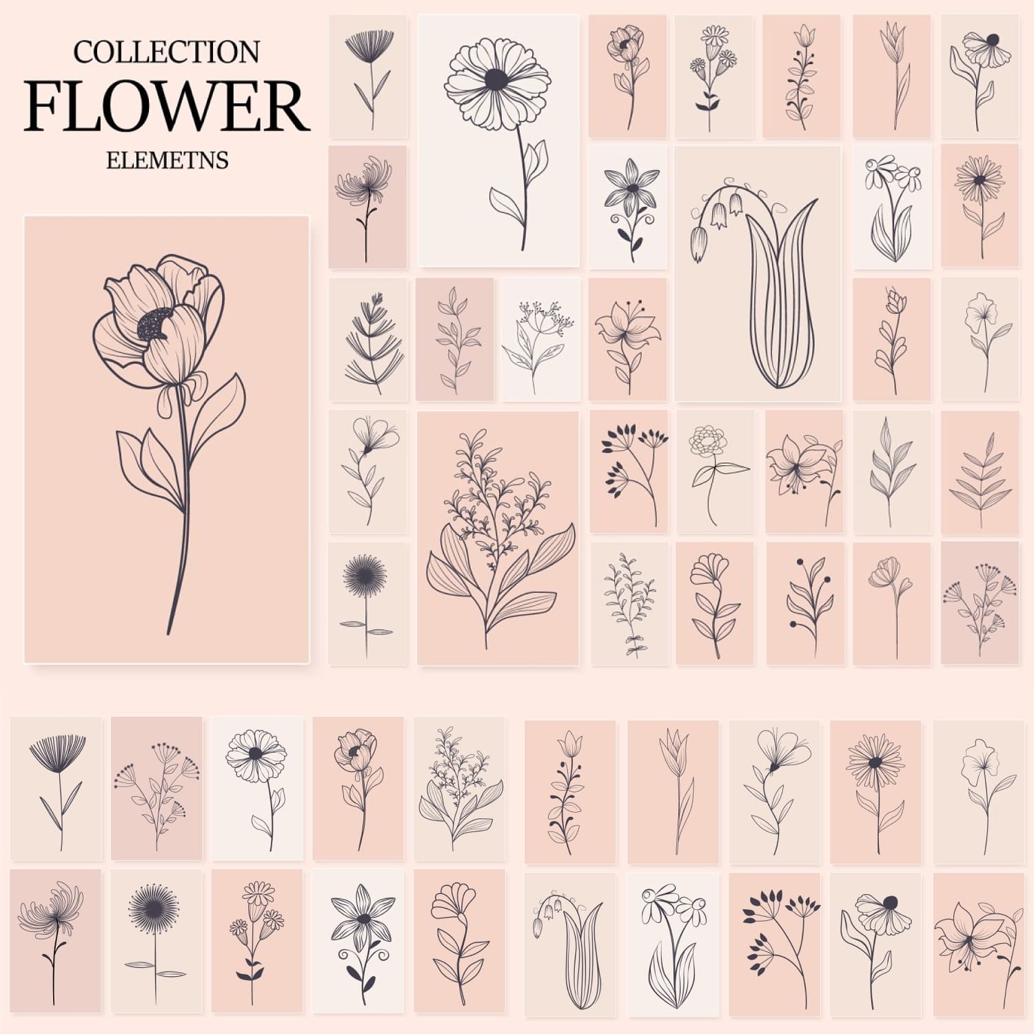 BIG Meadow Flowers Collection.