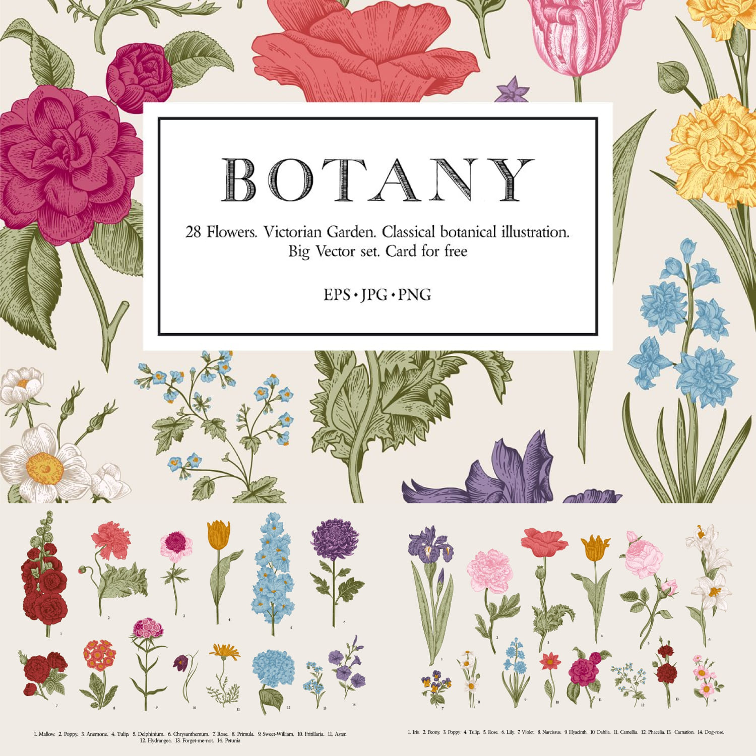 Botany. Victorian garden. Color.