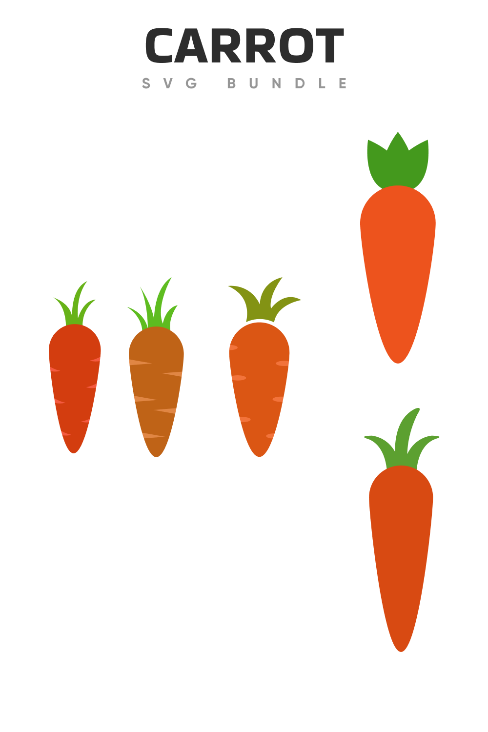 Dig carrot for your dishes.