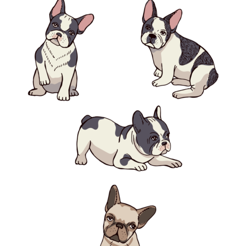 4 French Bulldog SVG Files | MasterBundles