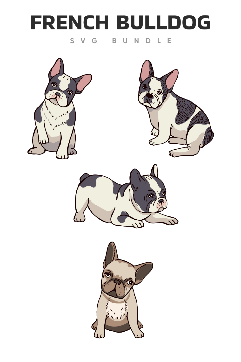 Cute french bulldog in the different poses.