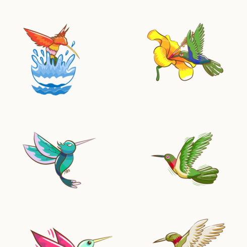 So colorful and delicate birds.