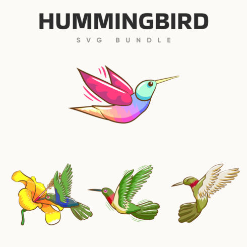 Hummingbird svg bundle.