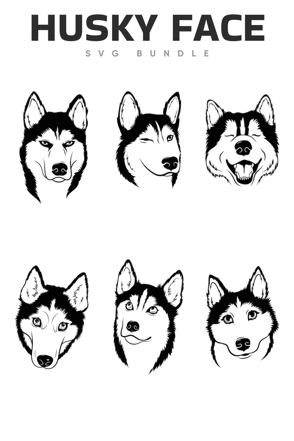 Various of husky face.