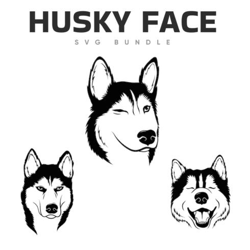 Husky face svg bundle.