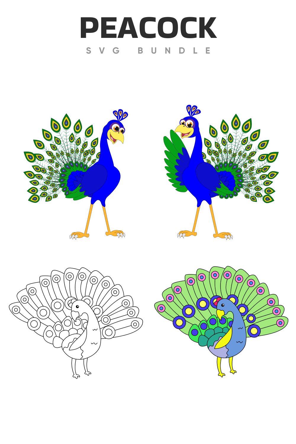 Some options of the colorful peacocks.