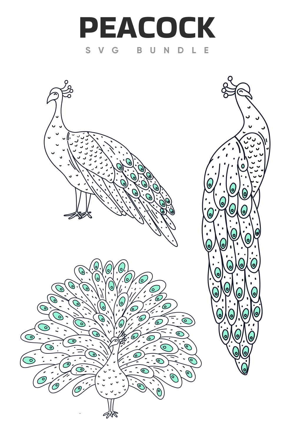Coloring page with a peacock and a peacock.