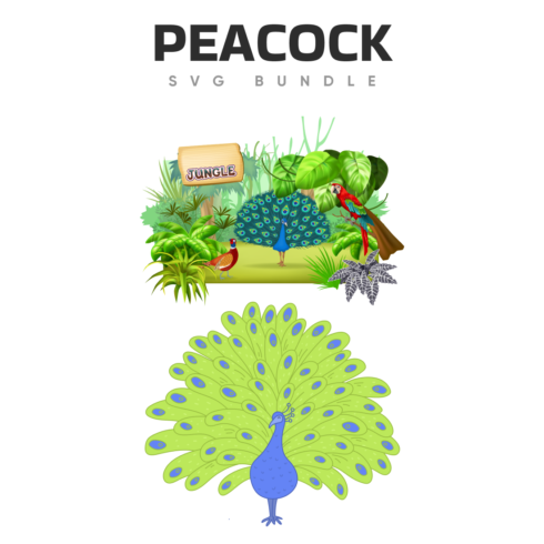 Picture of a peacock and some plants.