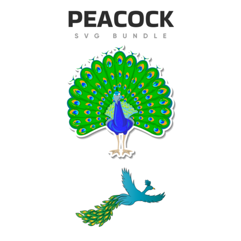 Picture of a peacock with the words peacock svg bundle.