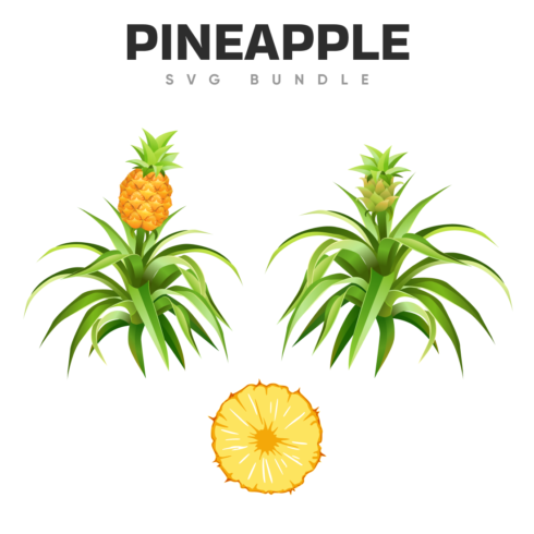 Pineapple svg bundle.