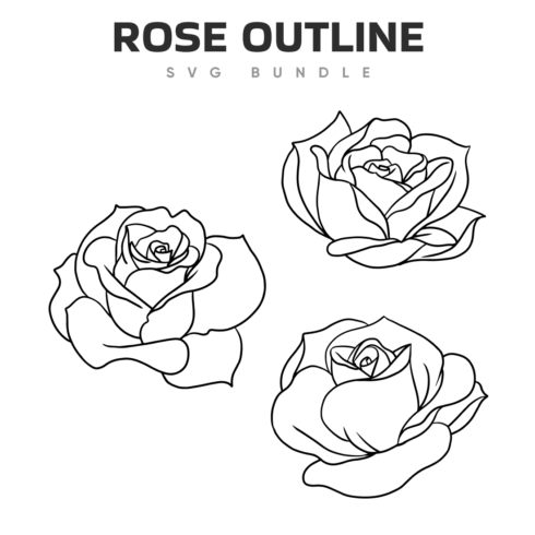 rose outline svg.