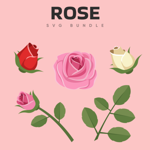 Rose svg bundle.