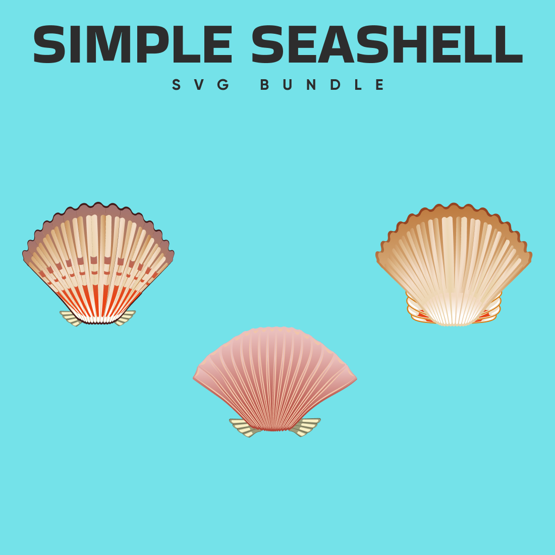 Three seashells on a blue background with the words simple seashell svg.