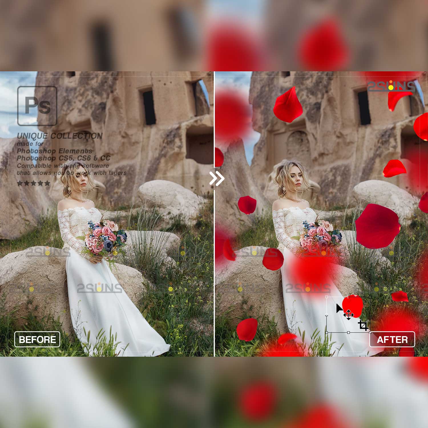Falling Rose Petals Photo Overlays Bride Example.