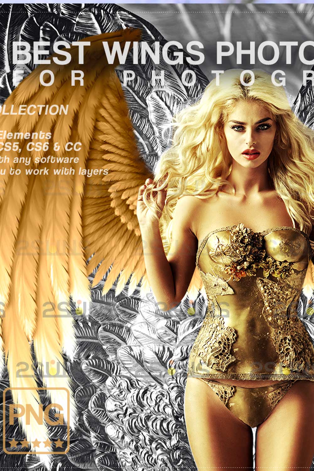 Realistic Black White Gold Angel Wings Photoshop Overlays pinterest image.