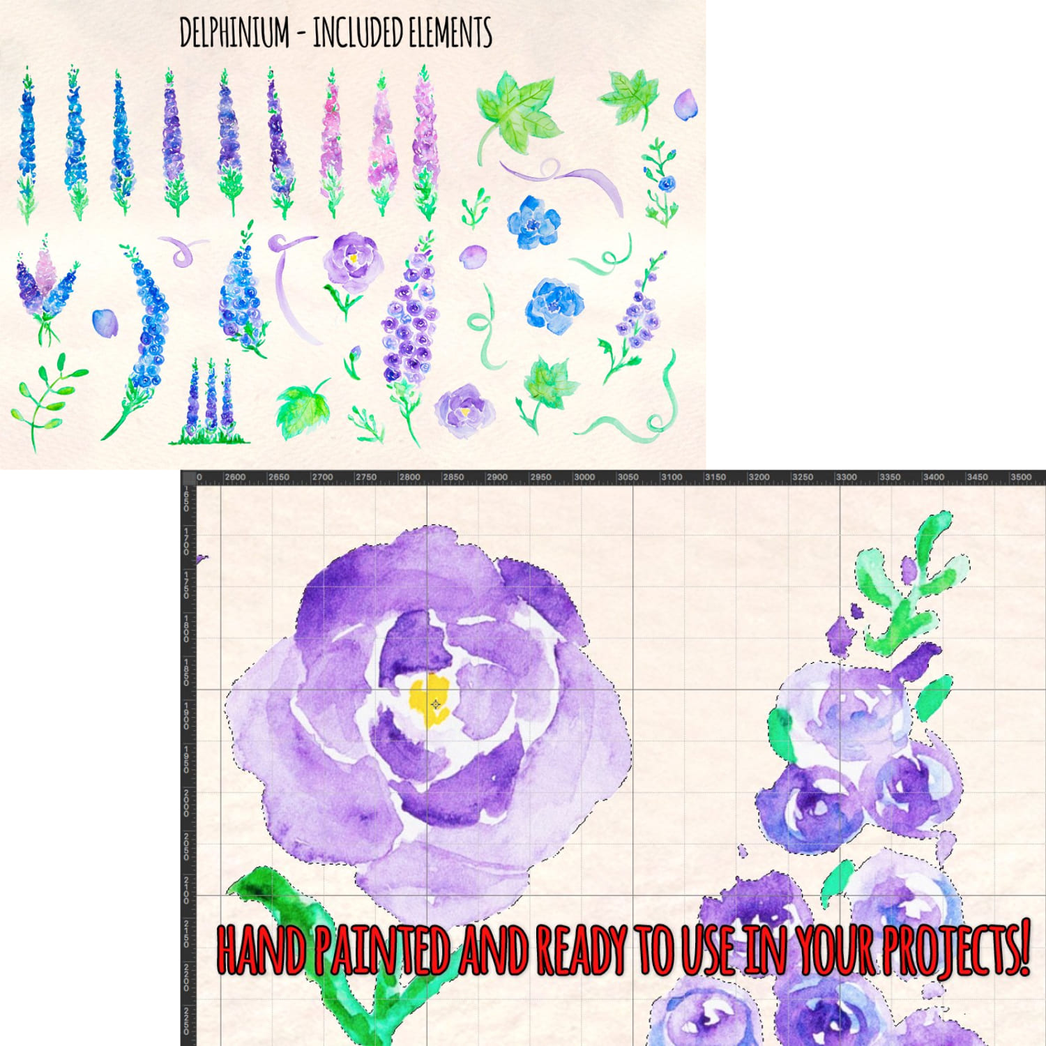 37 Delphinium Flower Graphics cover.