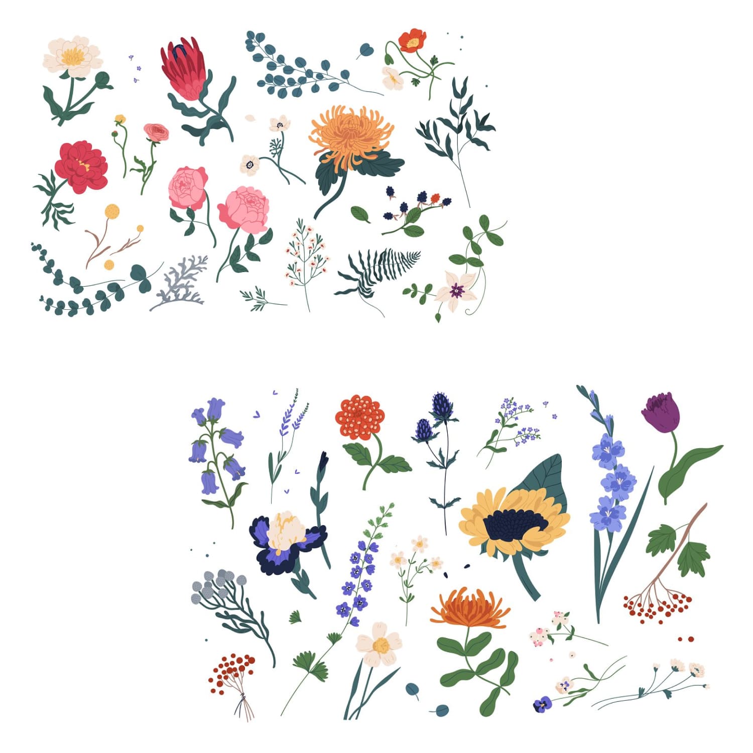 Flowers and herbs collection cover.